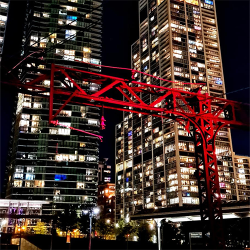 TRNDS-Scot - Love if You Want It